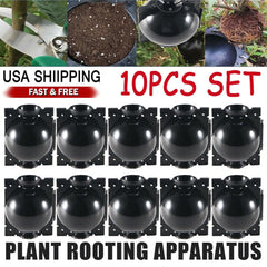 High Pressure Propagation Plant Rooting Device Box - 10X Graft Garden Tool for Easy Plant Growth