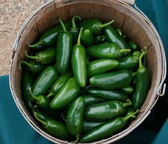 Jalapeno Pepper Seeds - 100+ Heirloom Non-GMO Chilli Seeds - Capsicum annuum