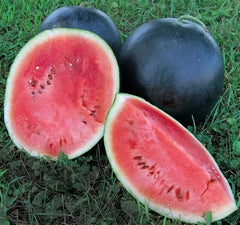 Black Diamond Watermelon Seeds 20 Ct Non-GMO Sweet Fruit Melon 30-50 lbs Citrullus lanatus