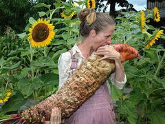 Mammoth Red Mangel Beet Seeds - 50 Seeds - Large Beets for Planting - Beta vulgaris