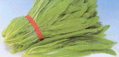 Sword Leaf Lettuce Seeds - Heirloom "A Choy" Variety, Non-GMO, Organic Gardening Seeds, Fast Shipping