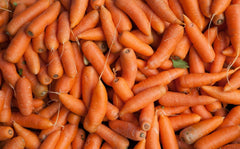 Tendersweet Carrot Seeds - 1000 Seeds - Daucus carota sativus - Heirloom, Sweet Flavor, Organic Gardening Supplies