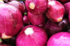 Red Grano Onion Seeds - 200+ Non-GMO Seeds for Planting - Allium cepa - Free Shipping on 4+ Items