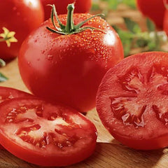 Celebrity Tomato Seeds | F1 Hybrid | Non-GMO | Heirloom Variety | Solanum lycopersicum