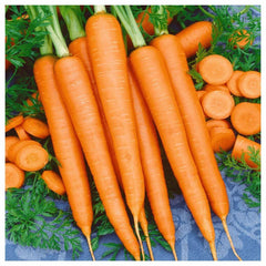 Tendersweet Carrot Seeds - Non-GMO, Beta Carotene, Vitamin A, Heirloom Variety, Garden Planting Seeds