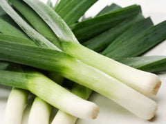 Heirloom Leek Seeds - 50 Pack, American Flag Variety - Allium ampeloprasum - Free USA Shipping