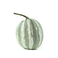 Silver-Edged Pumpkin Seeds - 25+ Pack for Garden Planting - Cucurbita pepo - USA Grown - Non-GMO