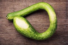 Tromboncino Squash Seeds - 25+ Heirloom Seeds for Garden Planting - Cucurbita moschata - USA