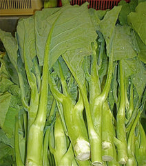 Heirloom KAILAAN Chinese Broccoli Kale Seeds - 250 Pack - Gai Lan Asian Green - Brassica oleracea var. alboglabra