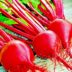 Detroit Beet Seeds - 200+ Heirloom Non-GMO Seeds for Spring Garden - Beta vulgaris - USA Grown