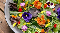 Edible Flower Seed Mix - 100 Organic Seeds - Colorful Varieties - USA Grown Edible Flowers