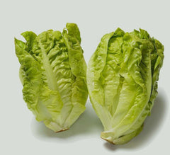 Butterhead Lettuce Seeds | Little Gem | NON-GMO Heirloom | Fresh Garden Seeds | Lactuca sativa