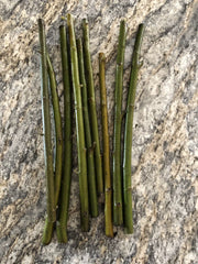 Austree Hybrid Willow Tree Cuttings - 10 Pack - Fast Growing Trees - Salix × sepulcralis