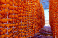 American Persimmon Tree Seeds - 20 Pack - Diospyros virginiana - Grown in USA, Ships from Iowa
