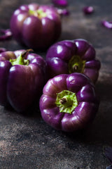 Purple Beauty Pepper Seeds - 100+ Seeds - Versatile Edible Pepper for Gardening (Capsicum annuum)