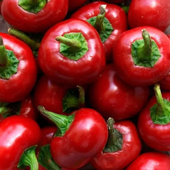 Red Cherry Hot Pepper Seeds - 60+ Non-GMO Heirloom Organic - Pimenta Variety