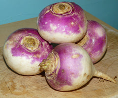 Rutabaga Seeds Bulk 500 Count - Perfect for Soups, Stews & Potato Substitute - Brassica napus