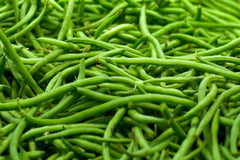Strike Green Bean Seeds - Fresh Green Bean Seeds - Organic Gardening - Phaseolus vulgaris