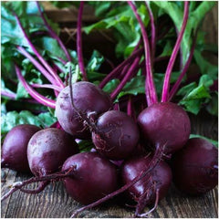 Beet Seeds 100 Ct Early Wonder Tall Top NON-GMO Vegetable Garden Seeds Beta vulgaris