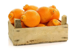 Tangelo Orange Seeds - 5+ Pack for Garden Planting - Citrus reticulata × Citrus paradisi - USA
