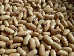Arikara Yellow Bush Beans Seeds - Drought Tolerant Heirloom Variety, 10 Seeds, 85 Days to Maturity