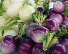 Purple Onion Seeds - 100 Seeds - Sweetest Variety - Allium cepa - Healthful Cooking Companion - Free Shipping