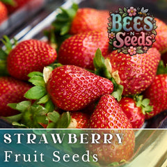 Crimson Treat Strawberry Seeds - Non-GMO Flower Seeds - 150 or 350 Seeds - Fragaria × ananassa