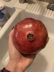 Organic Non-GMO Pomegranate Seeds - 25 Count - Edible Fruit Tree Garden - Grenadine (Punica granatum)