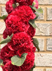 Hollyhock Seeds - Chater's Double Red - Non-GMO Biennial - 30 Seeds - Alcea rosea