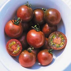 Brown Berry Tomato Seeds - 10+ Heirloom Organic NON-GMO - Rare Variety for Home Gardening - Solanum lycopersicum