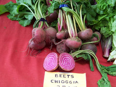 165 Seeds Beet Chioggia Candystripe Bullseye Beet - Beta vulgaris - Non-GMO Vegetable Seeds for Home Gardening