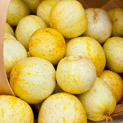 Lemon Cucumber Seeds | Heirloom Non-GMO | Cucumis sativus | Organic Vegetable Seeds for Home Garden