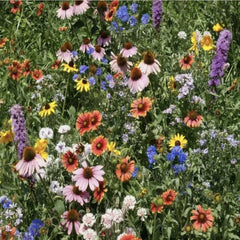 Wildflower Seed Mix - Organic Non-GMO Variety Pack - Colorful Flower Seeds for Gardens - Flora Mix