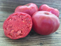 Mortgage Lifter Tomato Seeds - 120+ Heirloom Organic Non-GMO Seeds - Perfect for Home Gardening - Solanum lycopersicum