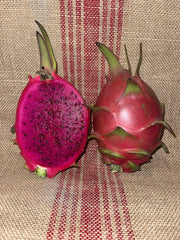 Mature Dragon Fruit Cuttings - Natural Mystic Variety - Pitaya (Hylocereus undatus)