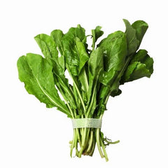 Arugula Seeds Bulk 500 Count - Peppery Flavor Herb - Eruca sativa