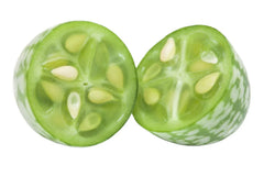 Cucamelon Seeds 20 Count - Mouse Melon, Melothria Scabra Mini Cucumber, Mexican Sour Gourd