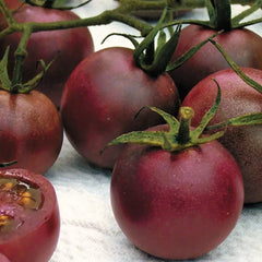 Chocolate Cherry Tomato Seeds - 30+ Heirloom Organic Super Sweet - Rare Variety - Perfect for Home Gardening