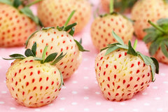 White Strawberry Seeds - 500 Count - Pineberry Variety - Made in USA - Ships from Iowa