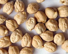 Garbanzo Bean Seeds - Chickpea Seeds for Planting, Organic, Non-GMO, Cicer arietinum