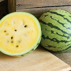 Yellow Petite Watermelon Seeds | Heirloom Non-GMO Variety | Citrullus lanatus | Free Shipping