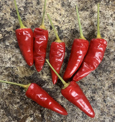 Paprika Pepper Seeds - Heirloom Non-GMO Variety, Capsicum Annuum - 25 Seeds for Spicy Flavor