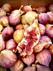 Brazos Bottom Red Fig Tree Cuttings – 3 Unrooted Pieces – Ficus carica Fruit Tree Starter