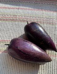 Pepino Melon Cuttings – 6 Fresh Deep Purple Variety, Easy-Rooting Solanum Muricatum for Containers, Edible Gardens & Warm Climates