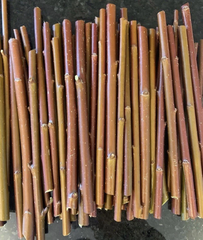 Purple Willow Cuttings – 10 Salix purpurea Unrooted Cuttings for Propagation and Craft Use