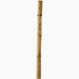 8 Foot Bamboo Stake "Single"