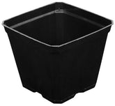 Black Plastic Pot 3.5 in x 3.5 in x 3 in