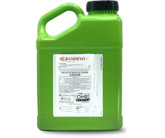 Marrone Bio Grandevo CG®Bioinsecticide 6 POUND