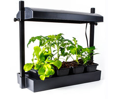 LED - Growlight Garden Micro - Black