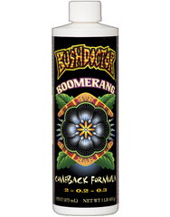 Bush Doctor Boomerang